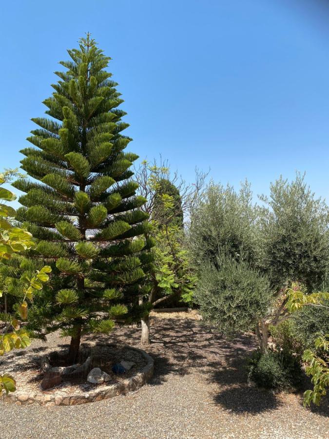 B&B Casa Oceo - Malaga - Andalusie Alhaurín de la Torre Buitenkant foto