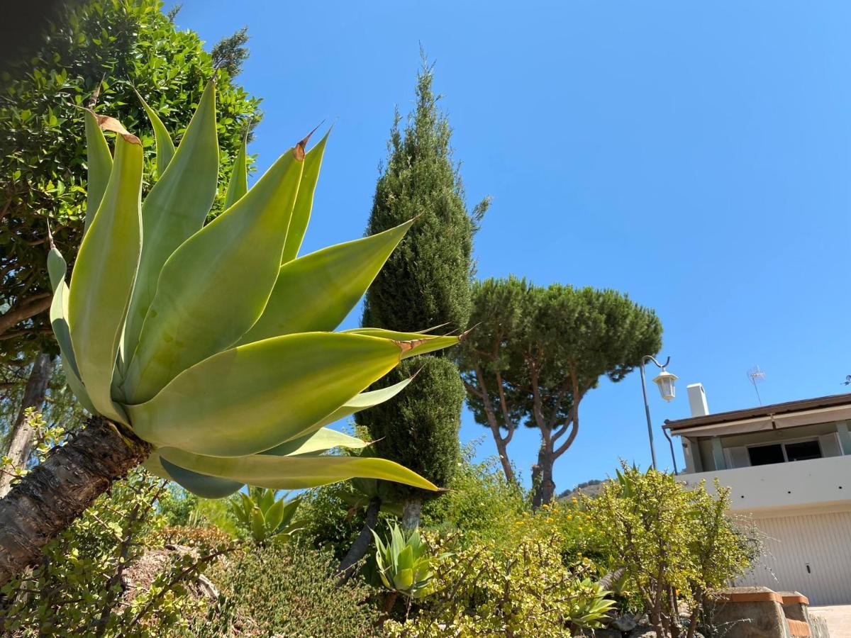 B&B Casa Oceo - Malaga - Andalusie Alhaurín de la Torre Buitenkant foto
