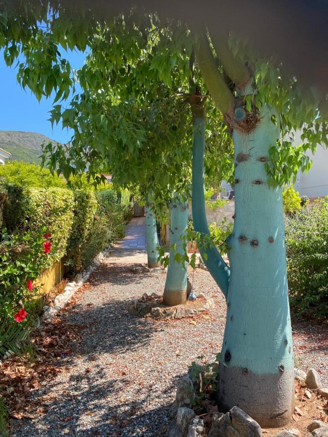 B&B Casa Oceo - Malaga - Andalusie Alhaurín de la Torre Buitenkant foto