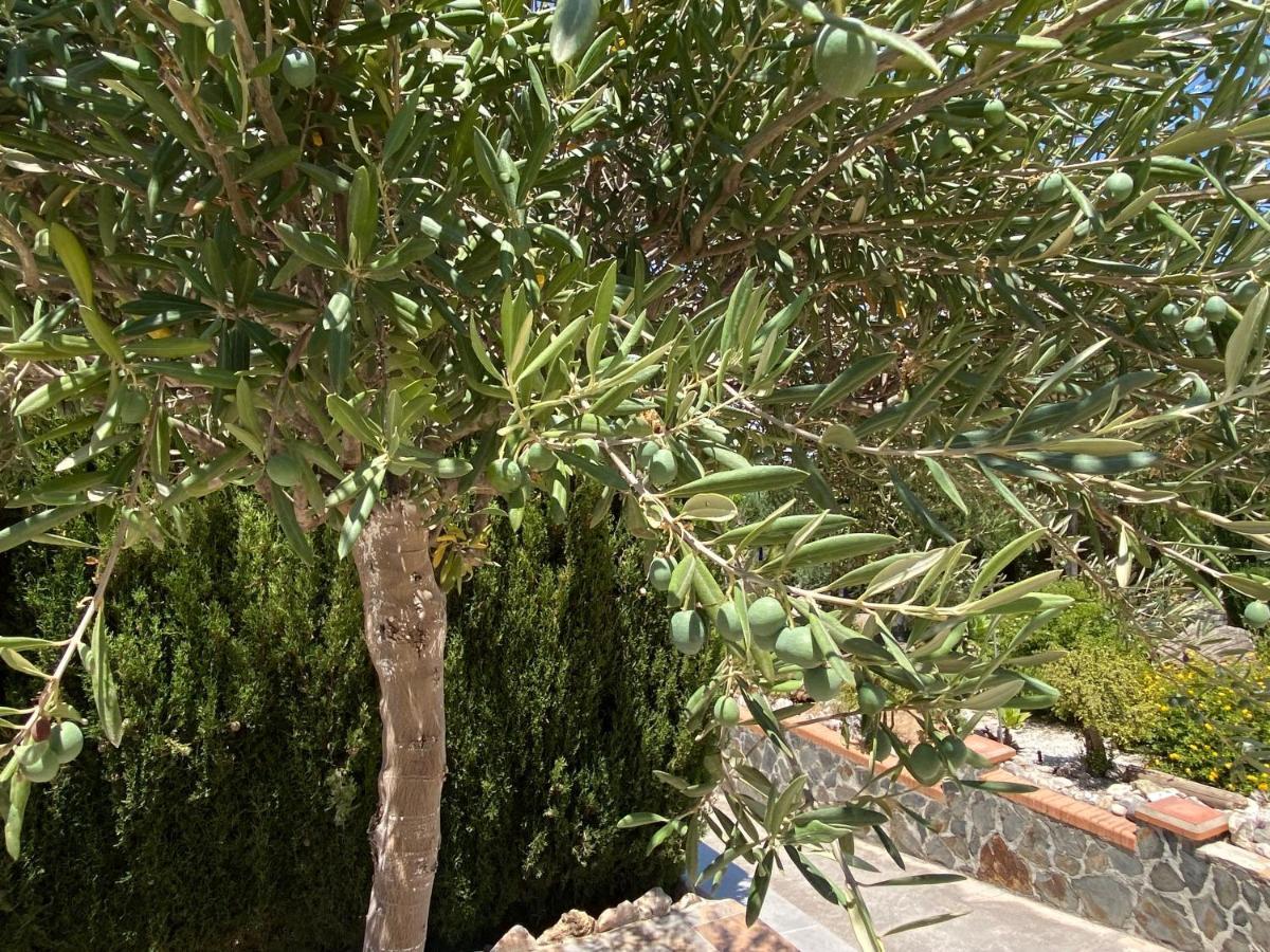B&B Casa Oceo - Malaga - Andalusie Alhaurín de la Torre Buitenkant foto